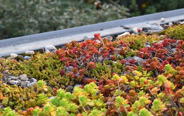 the cost of Braidley green roof installation