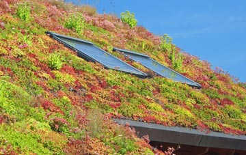 Braidley living roof systems
