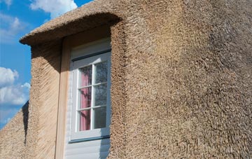 Braidley thatch roof disadvantages